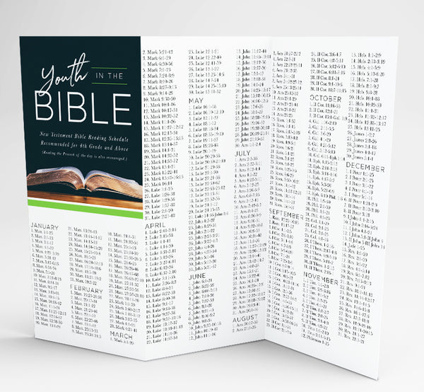 Bible Reading Schedules: Youth