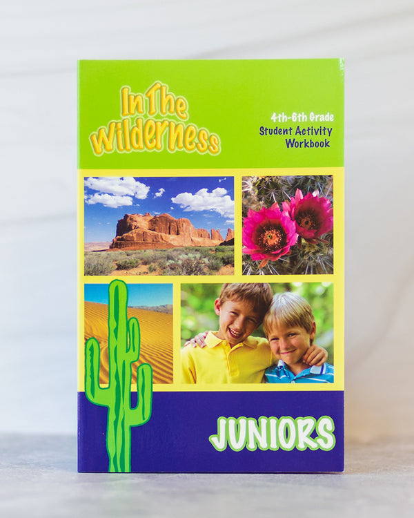 In the Wilderness - Junior Workbook