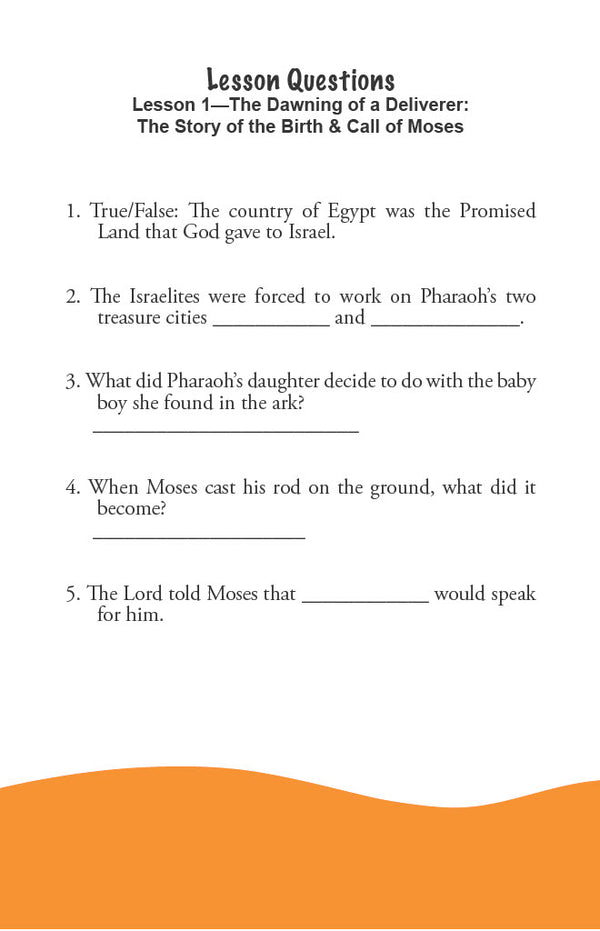 Coming Out of Egypt - Junior Workbook