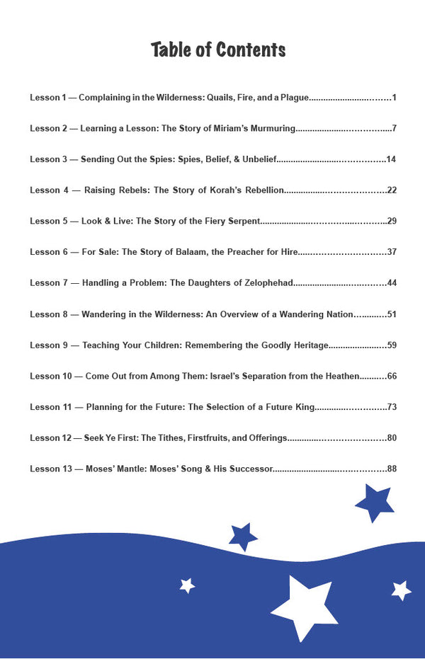 In the Wilderness - Junior Workbook (Digital)