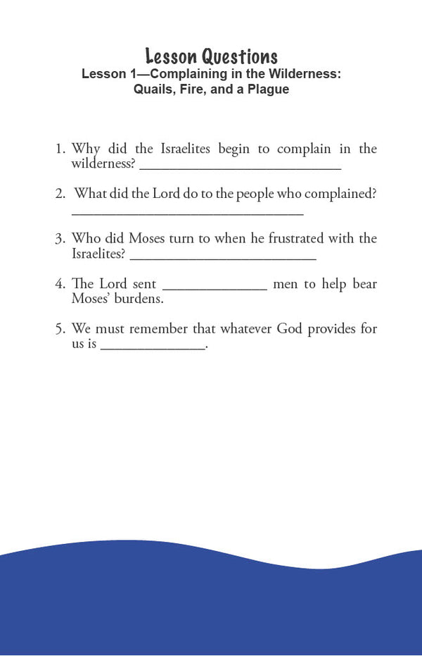 In the Wilderness - Junior Workbook