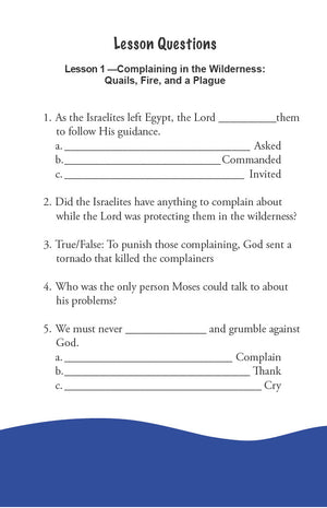 In the Wilderness - Primary Workbook