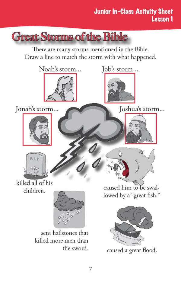 The Life of Christ II - Junior Workbook
