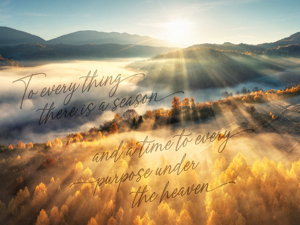 Fall Sunrise
