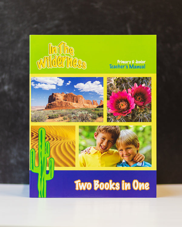 In the Wilderness - Teacher's Manual