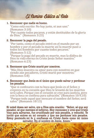 Spanish All-Seasons Invitation (H)