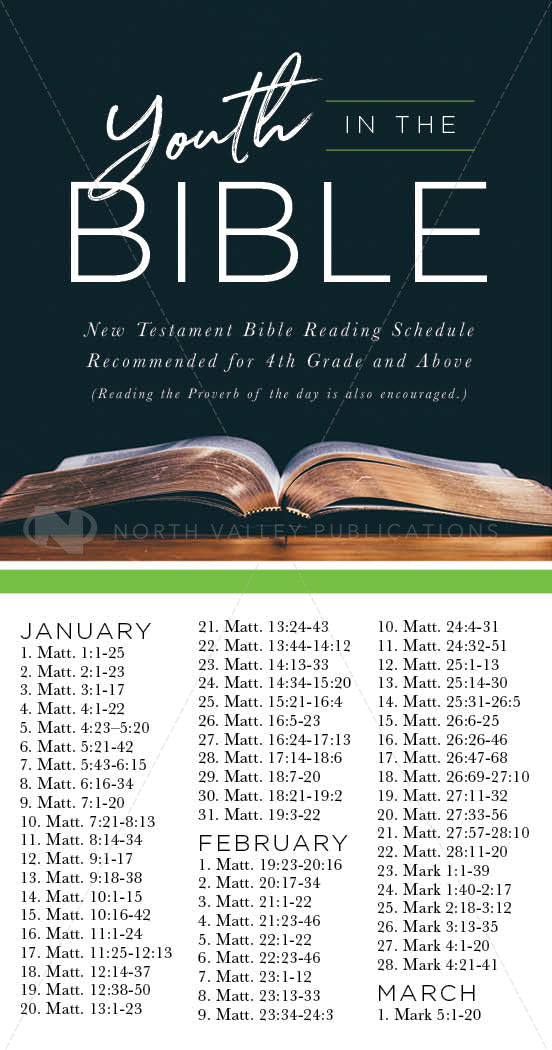 Bible Reading Schedules: Youth