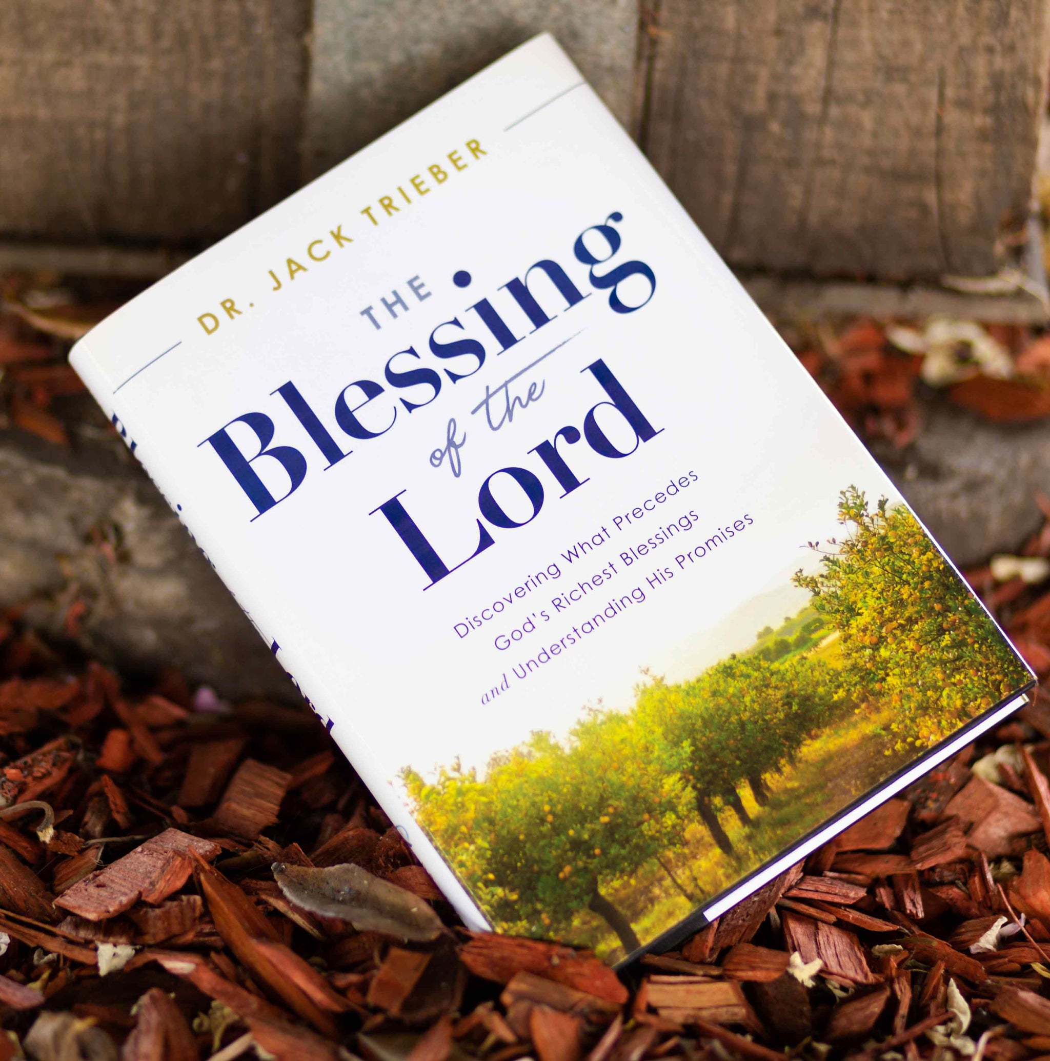 The Blessing of the Lord – North Valley Publications